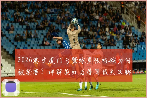 2026赛季厦门飞鹭球员张裕碹为何被禁赛？详解染红后辱骂裁判及脚踹设施全过程与7个月处罚