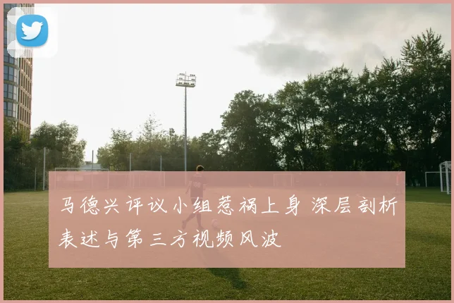 马德兴评议小组惹祸上身 深层剖析表述与第三方视频风波