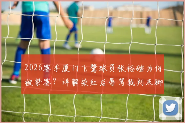 2026赛季厦门飞鹭球员张裕碹为何被禁赛？详解染红后辱骂裁判及脚踹设施全过程与7个月处罚
